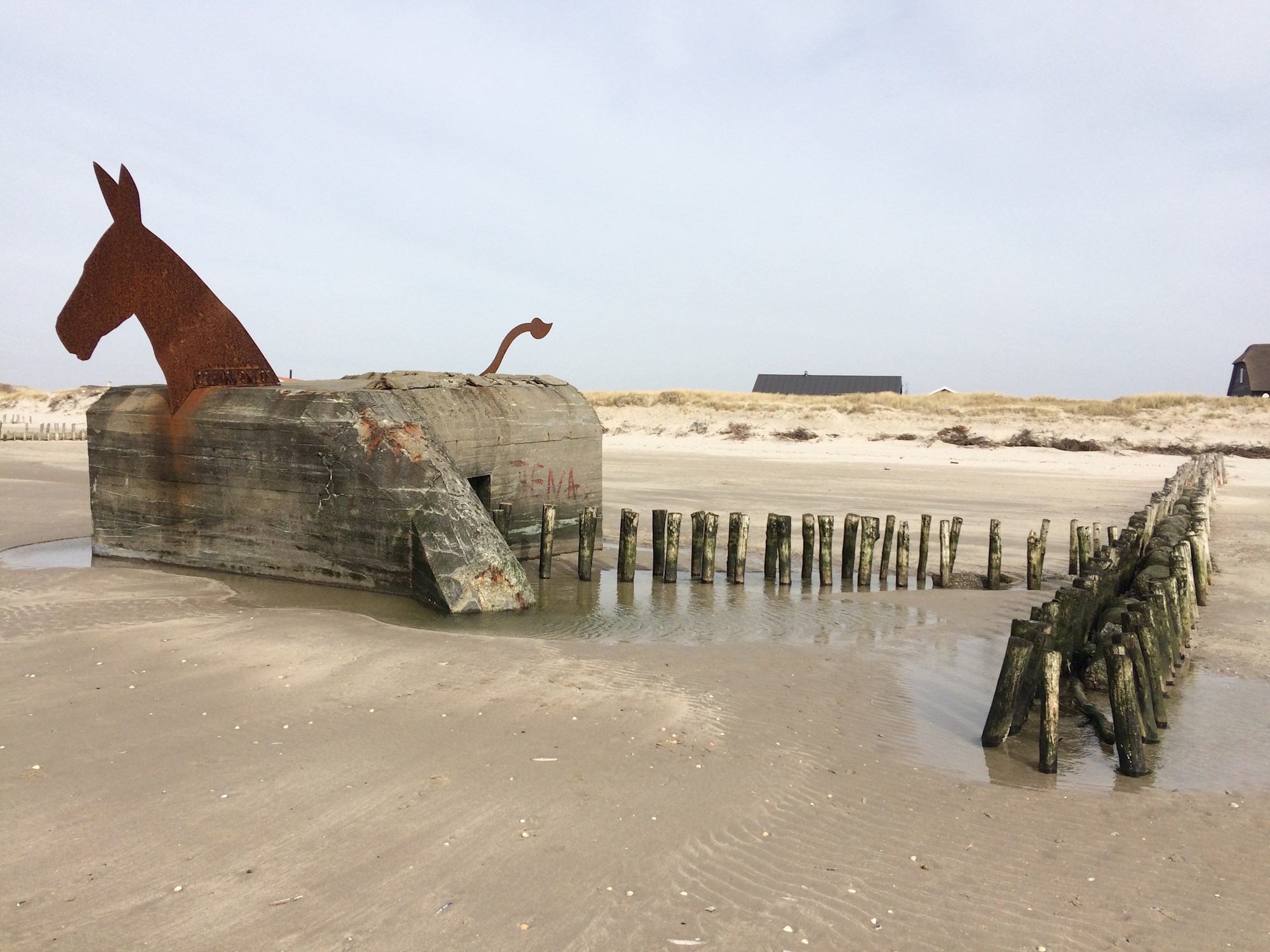 Hestebunkerne i Blåvand: En rejse gennem historien